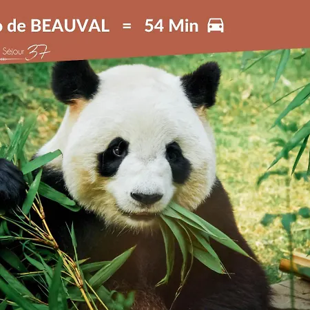 Apartament Le #2 Terracotta - Hypercentre Tours