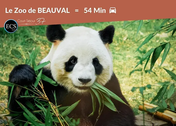 Apartament Le #2 Terracotta - Hypercentre Tours